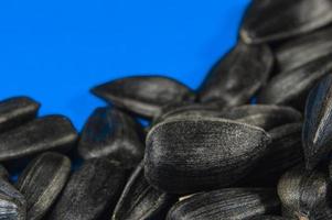 Sunflower seeds in  macro on blue background photo