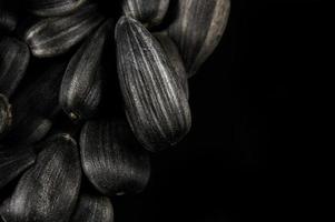 Semillas de girasol en macro sobre fondo negro foto