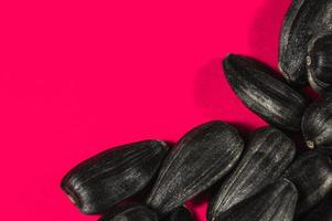 Sunflower seeds in  macro on pink background photo