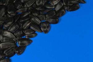 Sunflower seeds in  macro on blue background photo