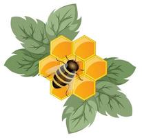 Vector image of a honeycomb as a concept of a flower being a honey plant