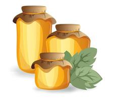 Vector image of honey in various containers