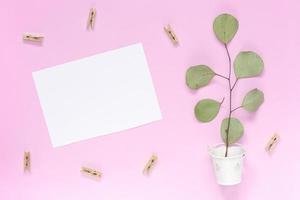 una ramita con hojas en un cubo blanco con una tarjeta de felicitación blanca sobre un fondo rosa liso foto