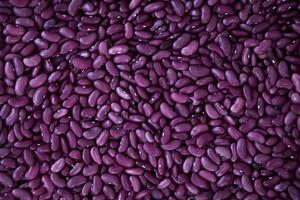 Close-up of purple beans photo