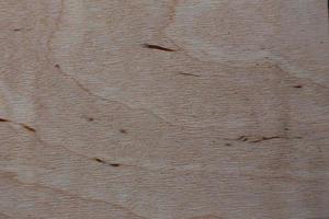 A fragment of a wooden panel photo