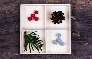 A white box with compartments on a wooden background filled with tree cone photo