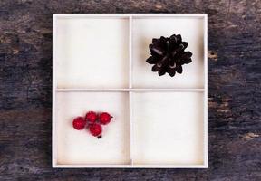 A white box with compartments on a wooden background filled with tree cone and rowan berries photo