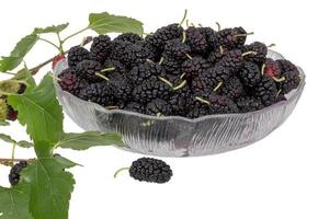 A bowl full of black mulberries decorated with mulberry leaves and unripe fruits photo