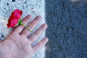 mano sosteniendo una hermosa flor en la temporada de primavera foto