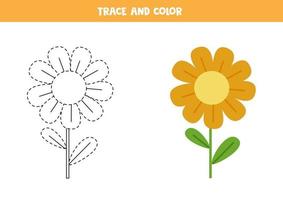 Trace and color cute flower Worksheet for kids vector