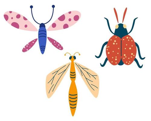 Dragonfly butterfly design set
