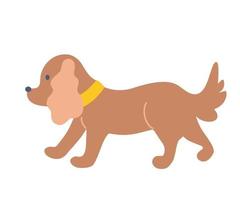 Cute little dog Dachshund lapdog Flat Vector illustration