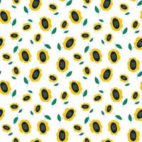 sunflower seamless pattern vector