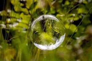 Bola de cristal flota entre briznas de hierba con árboles reflejados y cielo nublado foto