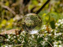 Bola de cristal flota entre briznas de hierba con árboles reflejados y cielo nublado foto