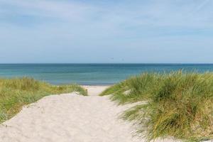 German Baltic Sea coast with sand dunes  grass water and sky