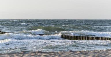 Olas rodearon troncos en la costa báltica en la arena foto