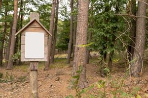 Cartel en blanco sobre una tabla de madera está en el bosque en un poste de madera atornillado foto