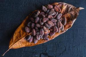 Dried cocoa beans on cocoa leaves photo