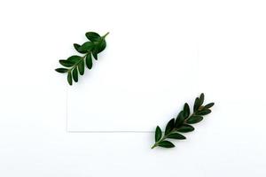 Top view on a sheet of paper and a green twig with leaves photo