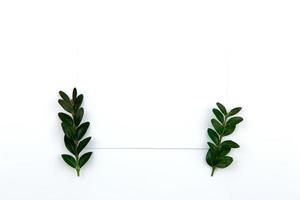 Top view on a sheet of paper and a green twig with leaves photo