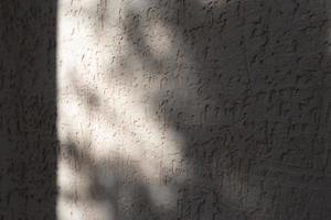 Sombra abstracta de las hojas sobre un fondo de pared blanca foto