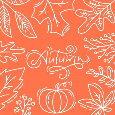 Hand drawn autumn typography poster. White monoline leaves and pumpkin with calligraphic text Autumn in flat doodle style. Vector illustration for Happy Thanksgiving day, greeting cards, invitations. Seasonal frame, web banner template
