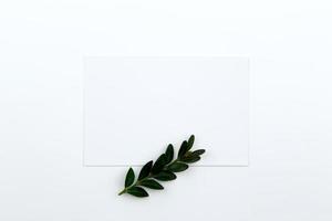 Top view on a sheet of paper and a green twig with leaves photo