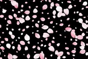 Seamless sakura petals Falling realistic cherry petals vector