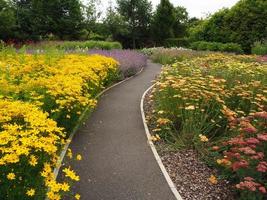 Garden path between colourful summer flower beds photo