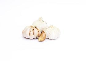 Garlic Isolated on white background photo