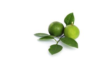 Green lemon  and leaves on white background photo