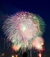 Fireworks over the sky in summer photo