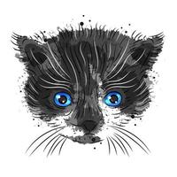 cute kitten on a white background is suitable for printing vector