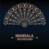 Mandala design background vector