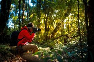 Fotógrafo profesional toma fotos con cámara en el bosque.