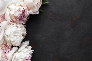 Peony flowers on a black concrete background photo