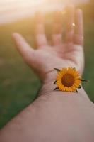 mano sosteniendo una hermosa flor en la temporada de primavera foto