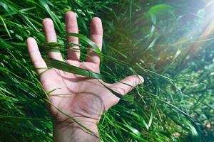 hand holding a leaf photo