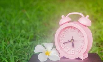 Pink clock on the lawn photo
