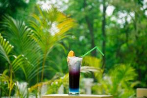 watermelon smoothie glass in nature photo