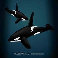 Killer Whale Under The Sea Vector Illustration