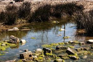 detalles de la costa en la frontera entre italia y eslovenia foto