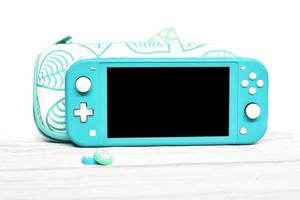 Turquoise Nintendo Switch Lite with case photo