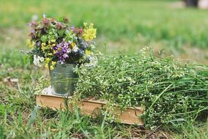 Early Spring Flowers in small bucket Beltane photo