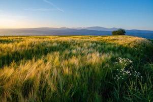 Sunrise in Slovakia photo