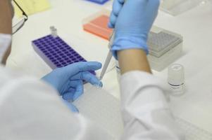 Research and science doctor in laboratory photo