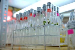 Cerrar fila de botellas de vidrio en la estantería de laboratorio foto