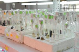 Cerrar fila de botellas de vidrio en la estantería de laboratorio foto