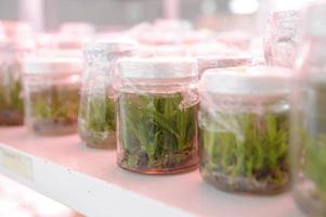 Close up row of glass bottles on shelf in laboratory photo